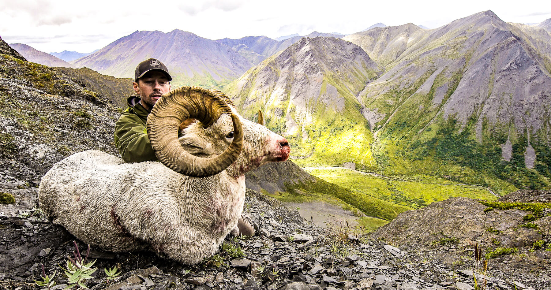 4 (Not So Easy) Steps to Afford a Sheep Hunt