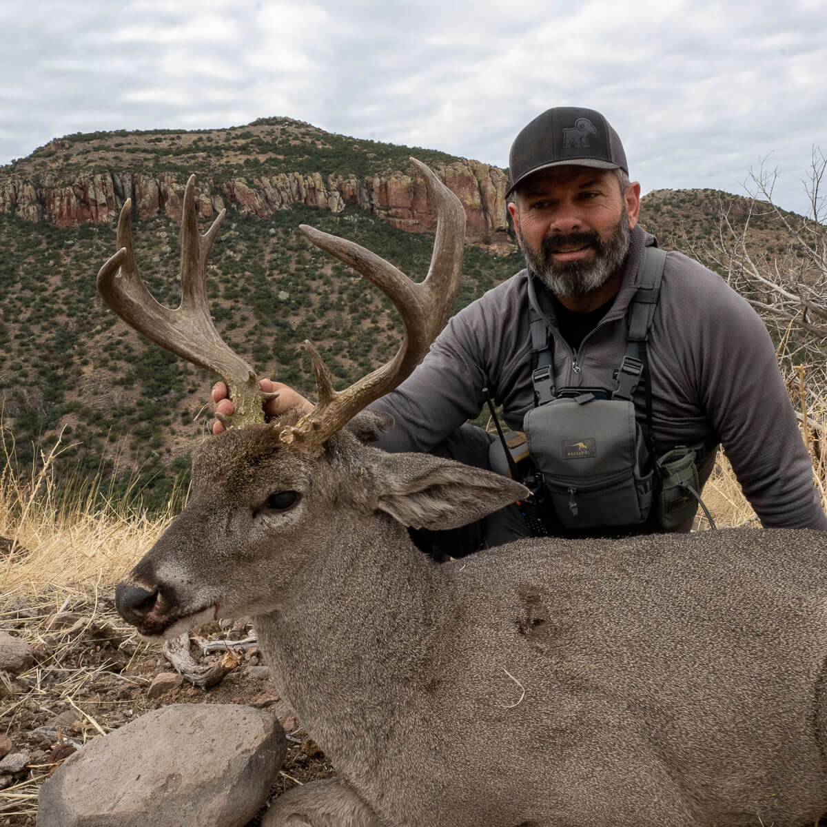 DIY Sonora Coues Deer Deposit