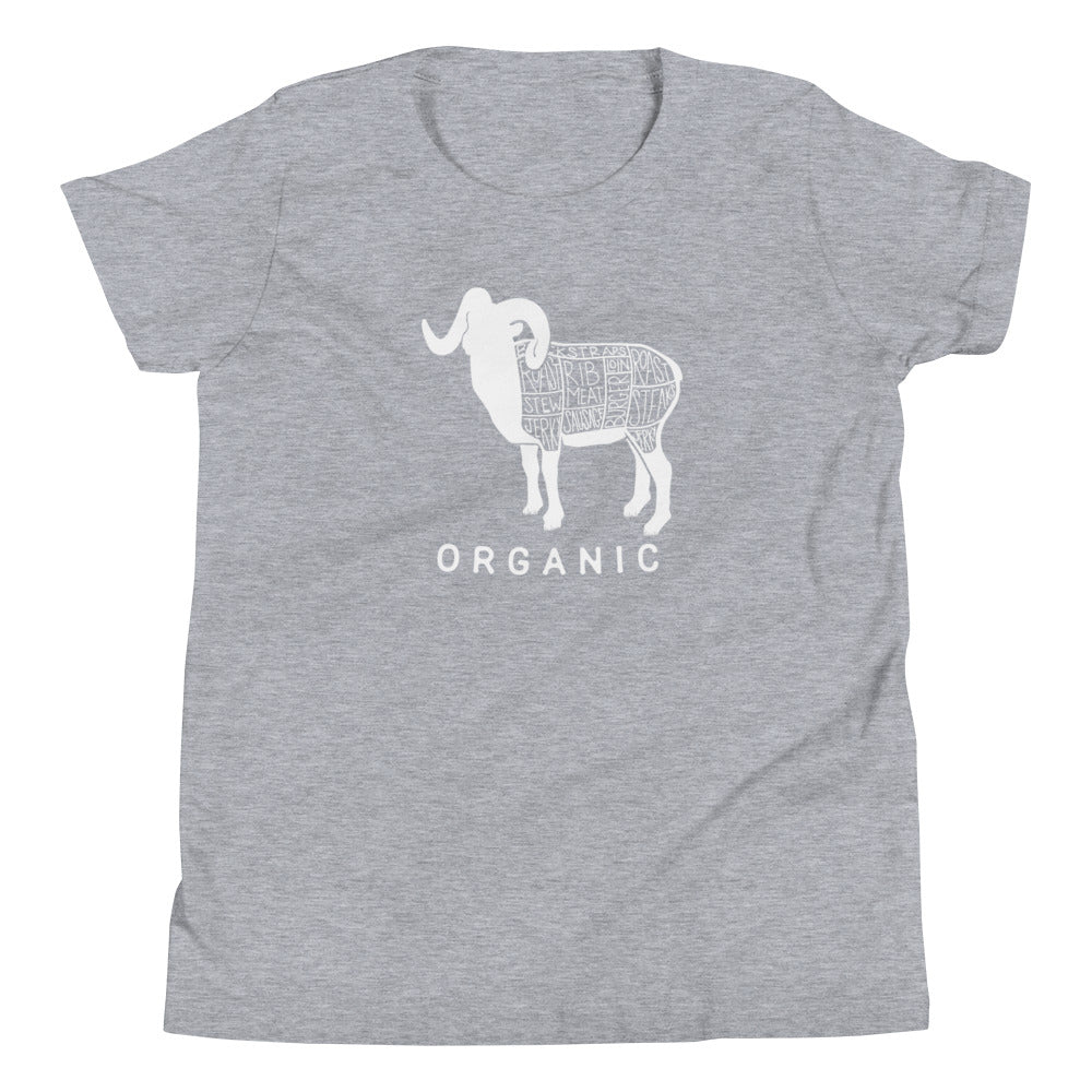 Youth Organic Sheep T-Shirt