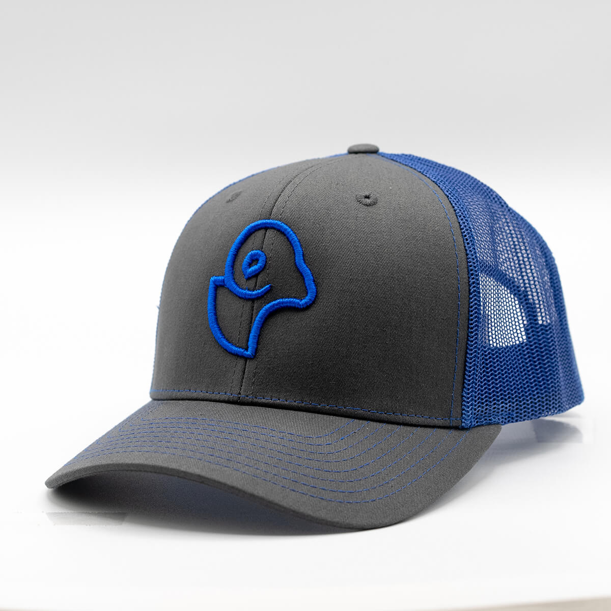 Blue 3D Logo Snapback Cap